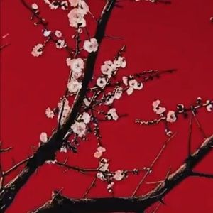 Meet your Posher, Christian